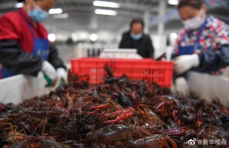 小龙虾、莲藕、脐橙……“鄂货”等你来盘它！