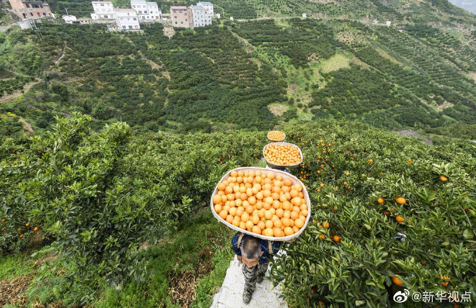 小龙虾、莲藕、脐橙……“鄂货”等你来盘它！
