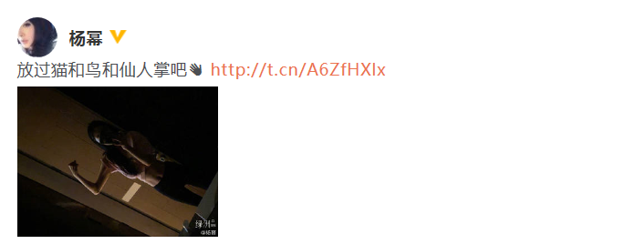 杨幂绿洲晒健身照 穿露腰上衣大秀优越马甲线