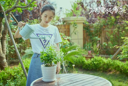 《冰糖炖雪梨》吴倩张新成故地重游回忆童年