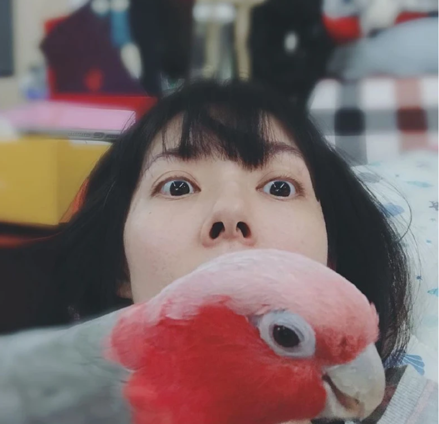 网曝向佐夫妇甜蜜旅行照 郭碧婷肚子凸起疑似怀孕