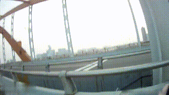 为了拍到这些照片，这两人竟然爬上了高架桥顶