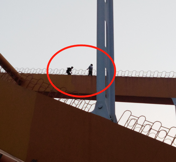 为了拍到这些照片，这两人竟然爬上了高架桥顶