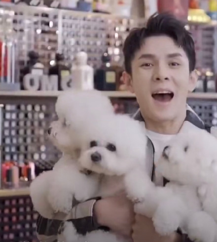 李佳琦为王嘉尔应援跳同款手势舞 抱四只狗狗营业