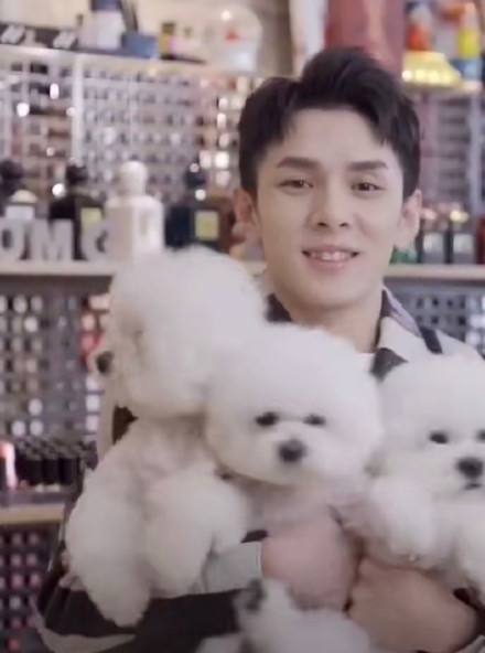 李佳琦为王嘉尔应援跳同款手势舞 抱四只狗狗营业