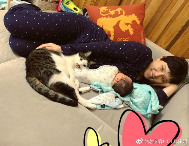 谢依霖生二胎后分享近况 与宝宝猫咪同框比可爱
