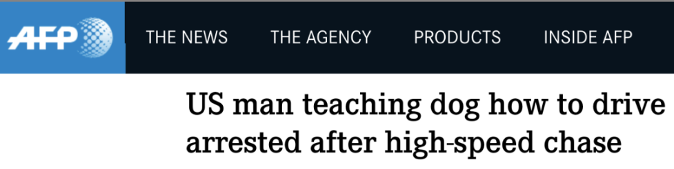 美国警察追捕逼停超速肇事车辆后,发现驾驶座上竟是……