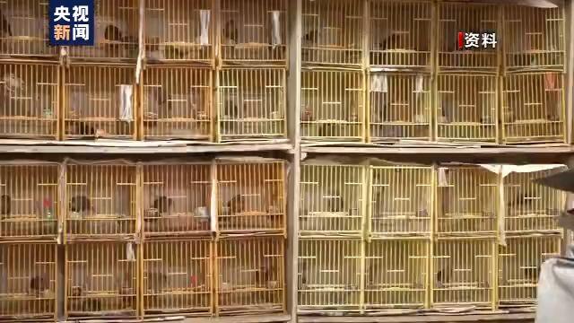 广东：食用野生动物？！最高罚20倍！