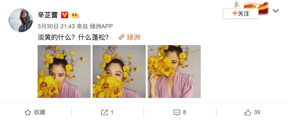 辛芷蕾最新写真曝光 淡黄花束遮脸眼神迷离