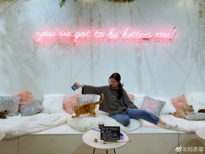 刘亦菲晒近照皮肤清透状态好 与小动物有爱互动温柔满分