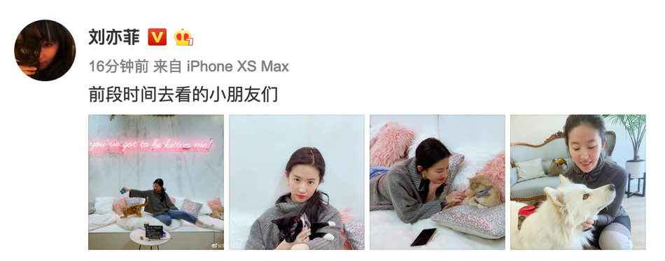 刘亦菲晒近照皮肤清透状态好 与小动物有爱互动温柔满分