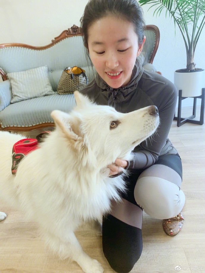 刘亦菲晒近照皮肤清透状态好 与小动物有爱互动温柔满分