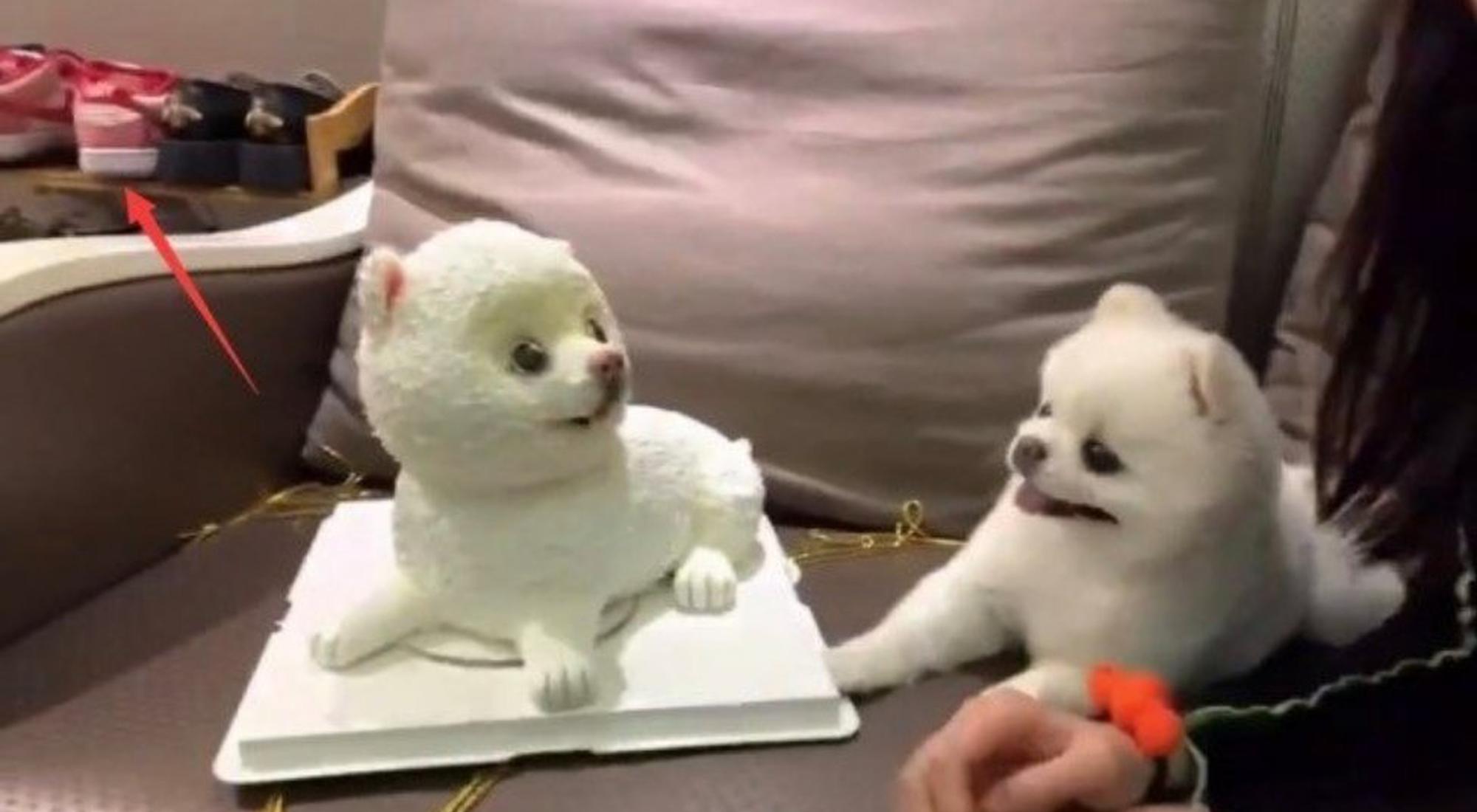 暗戳戳秀恩爱!关晓彤鹿晗穿情人节限定款鞋被扒