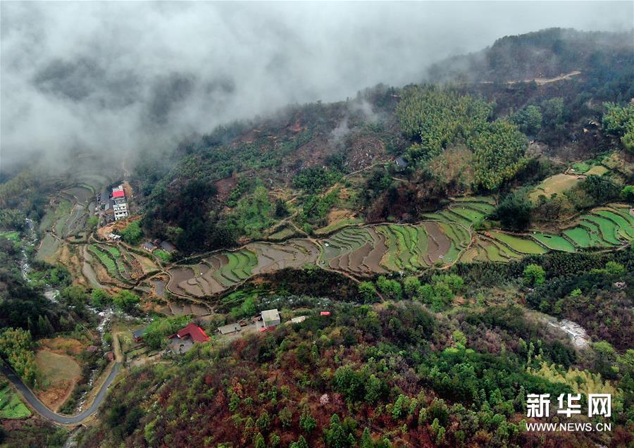 烟雨黄柏山