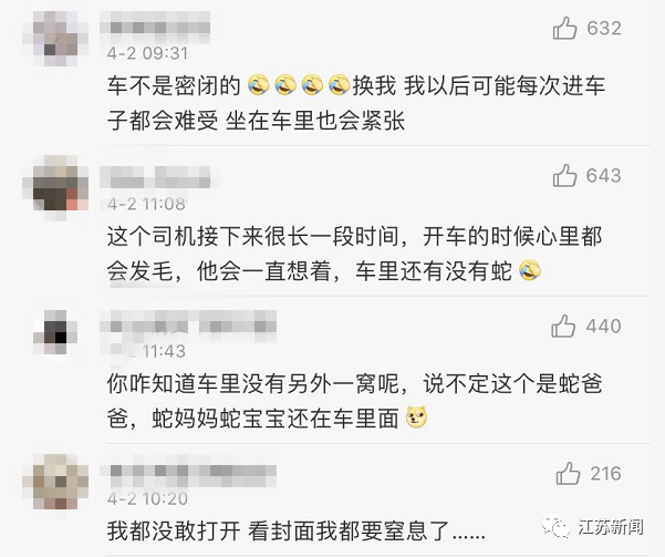 这谁顶得住？！正开着车，挡风玻璃上出现一条2米大蛇！