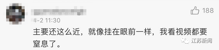 这谁顶得住？！正开着车，挡风玻璃上出现一条2米大蛇！