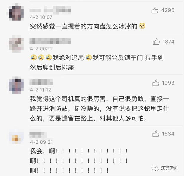 这谁顶得住？！正开着车，挡风玻璃上出现一条2米大蛇！