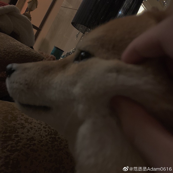 范丞丞分享日常近照 皮肤白到发光引粉丝羡慕