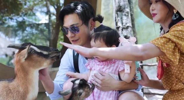 严屹宽一家度假氛围温馨 杜若溪穿长裙大秀好身材