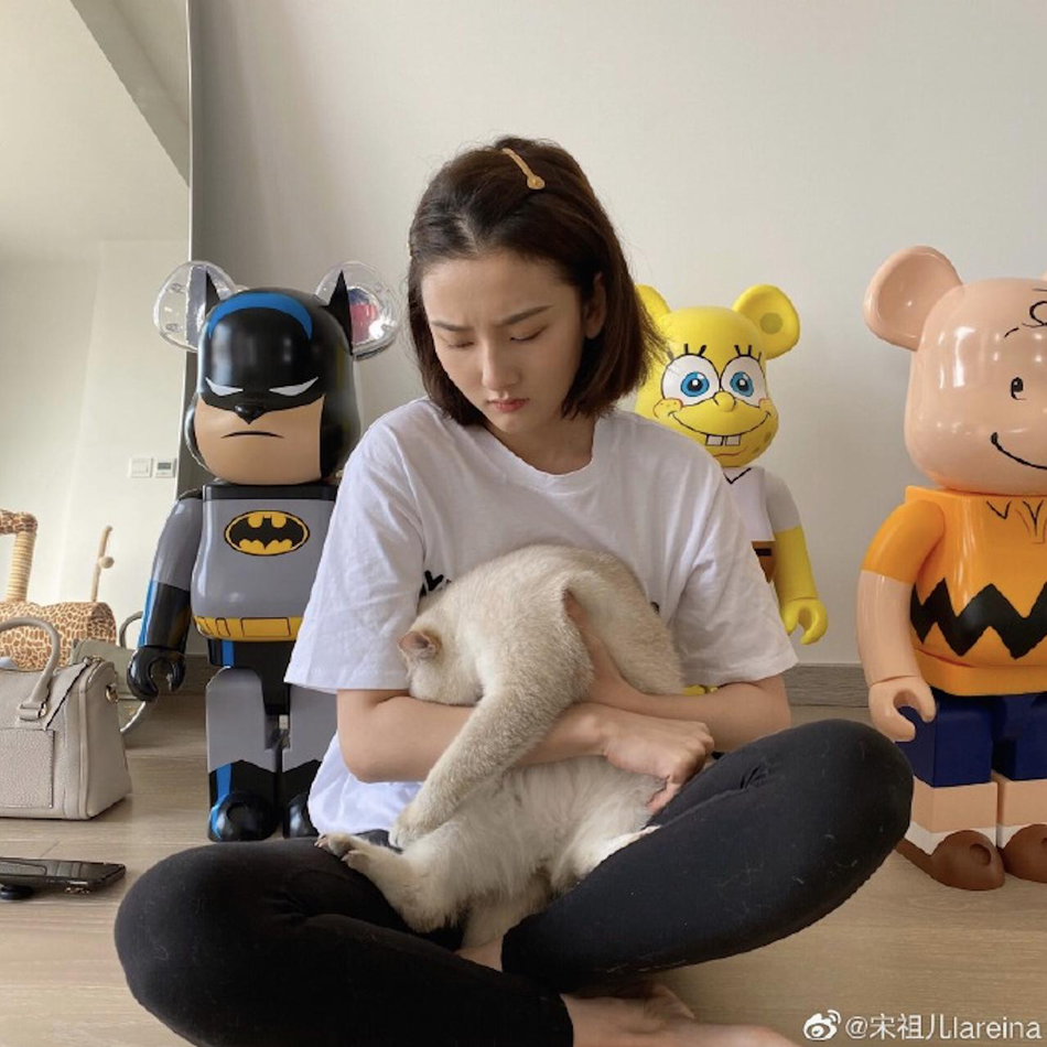 宋祖儿分享近照心情好 专注撸猫神情可爱