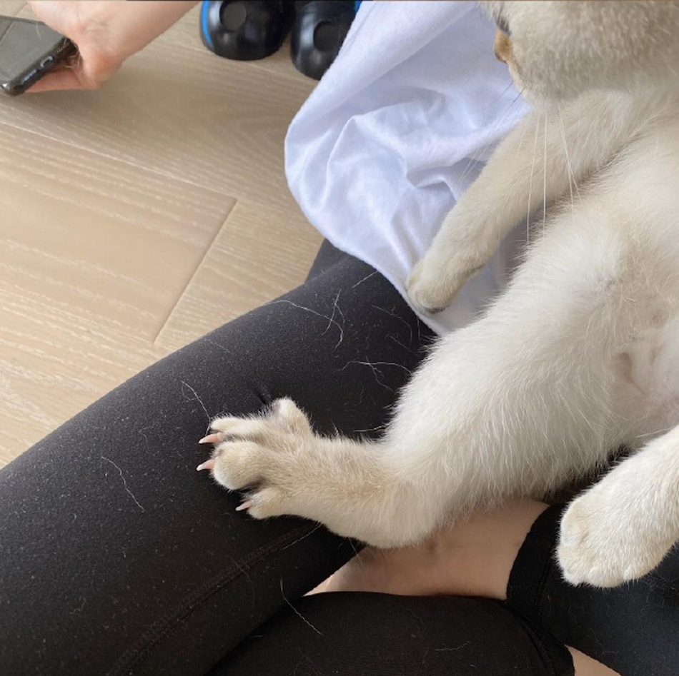 宋祖儿分享近照心情好 专注撸猫神情可爱