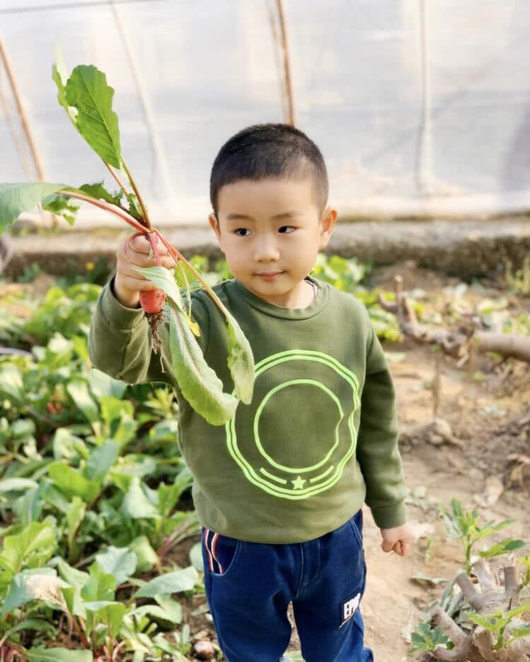 佟大为一家五口外出摘果蔬 大女儿五官精致气质佳