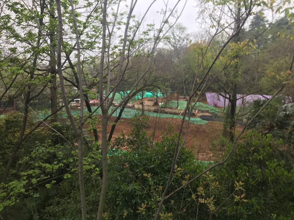 南京红山动物园改建场馆离民宅仅20米，规划合理性引争议