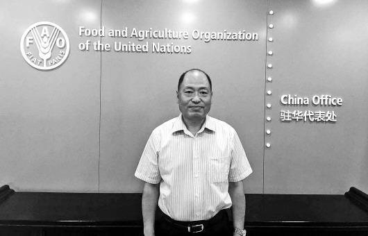 疫情未对中国粮食安全构成冲击