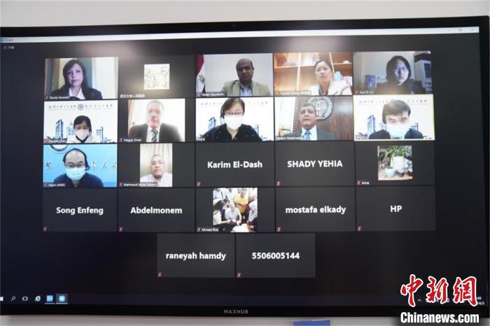 武汉大学人民医院举办国际连线 助力海外抗疫