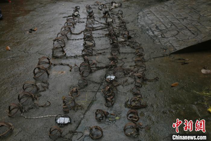 广西崇左警方收缴非法猎捕工具 护卫自然保护区野生动物安全