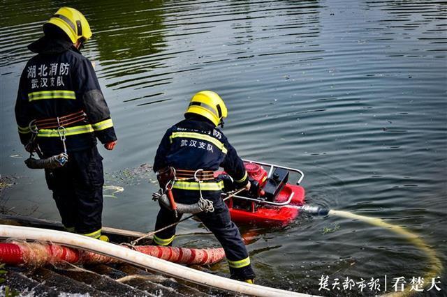 警惕森林火灾！武汉演练森林灭火