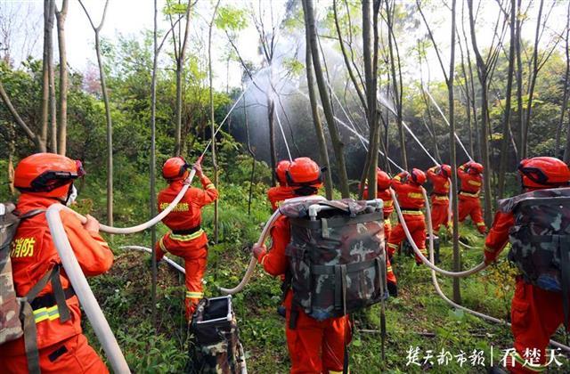 警惕森林火灾！武汉演练森林灭火