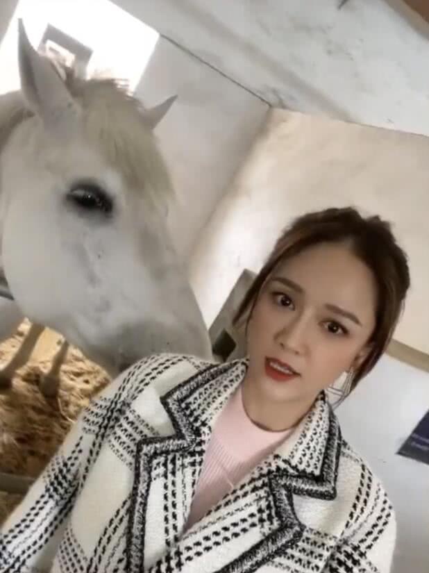陈乔恩晒片场自拍美照 被白马亲吻表情可爱