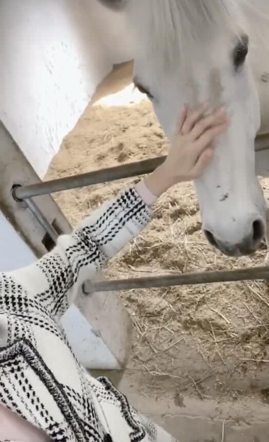 陈乔恩晒片场自拍美照 被白马亲吻表情可爱