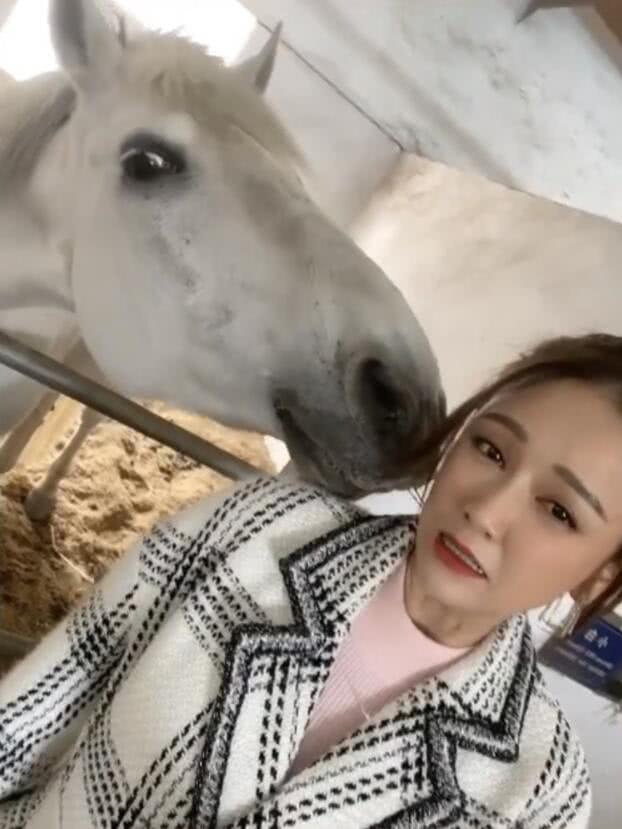 陈乔恩晒片场自拍美照 被白马亲吻表情可爱