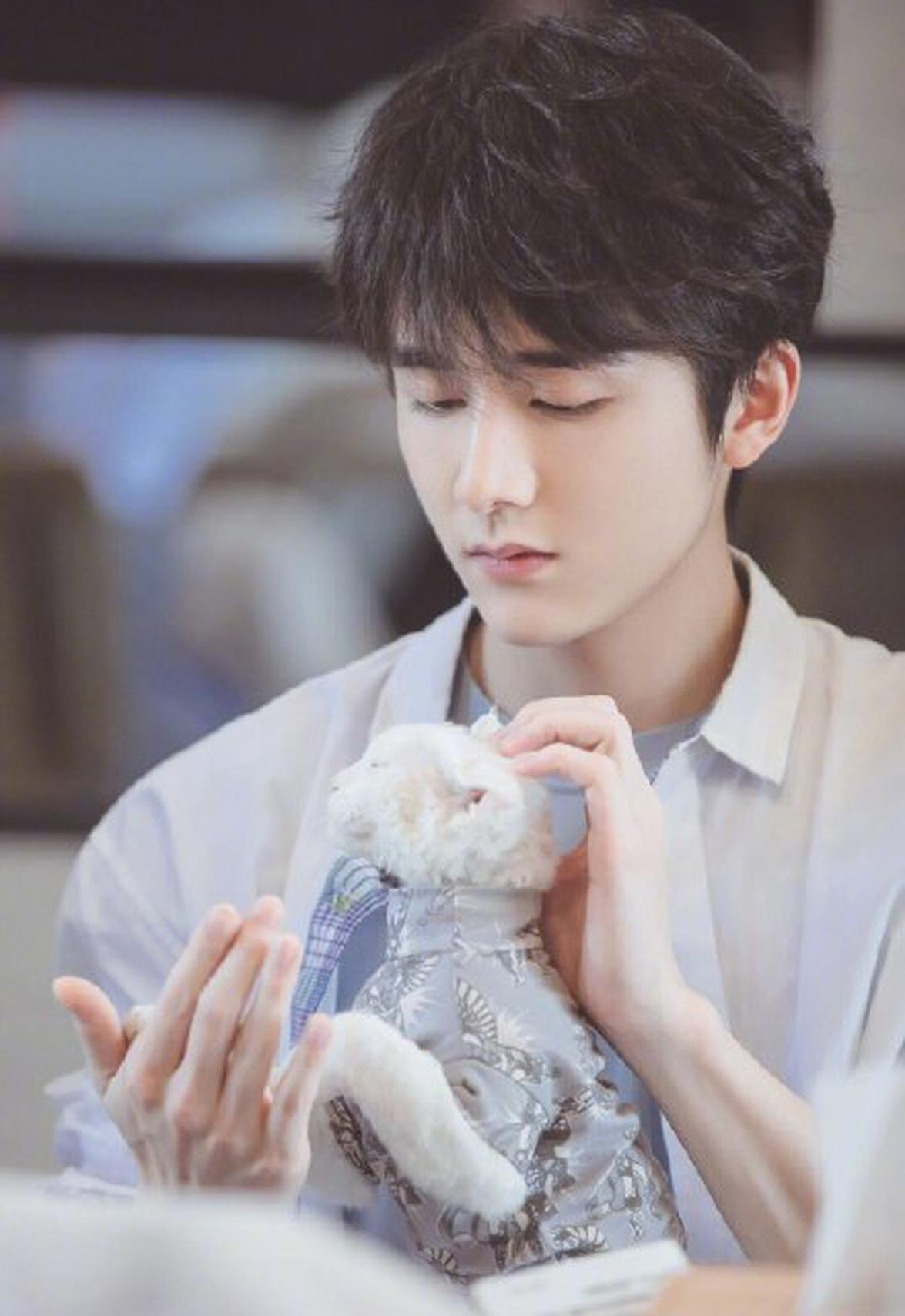 张新成再现偶像剧经典台词 白衬衣外塔无袖毛衣少年感满满