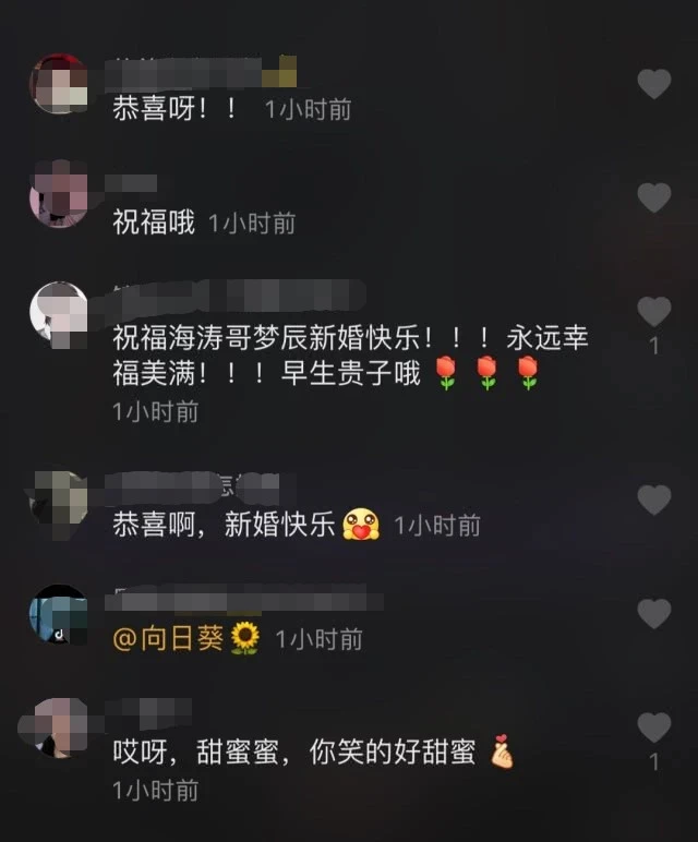 婚房正在准备中！汪涵曝沈梦辰与杜海涛今年结婚