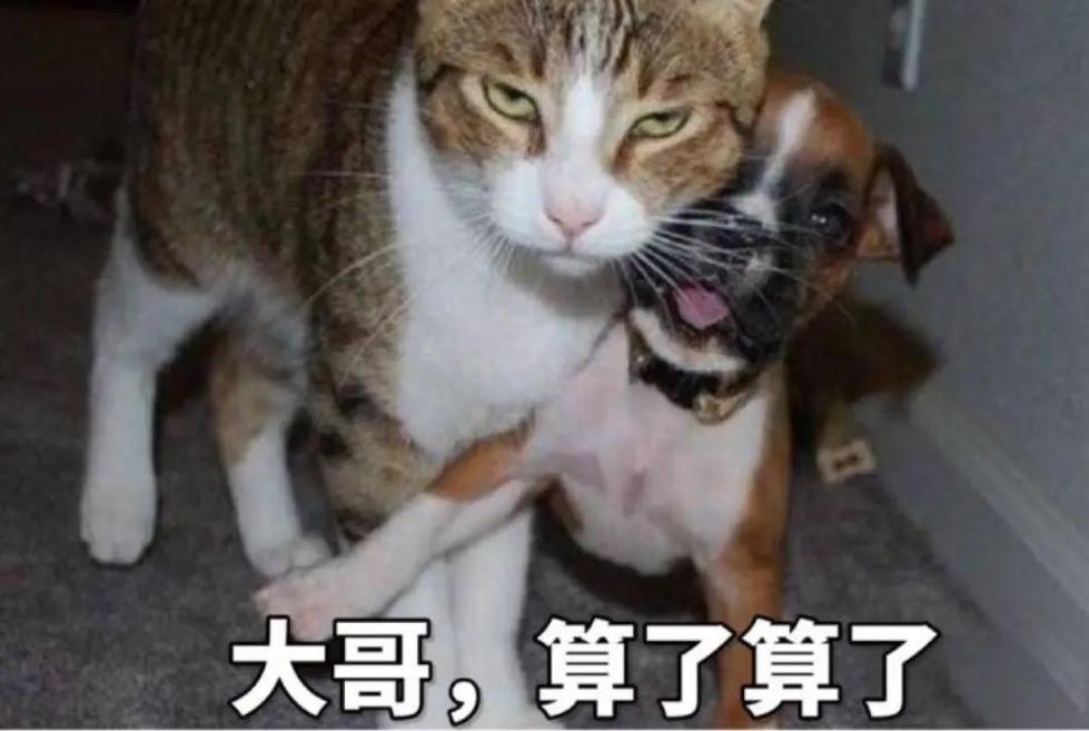 女子嫌朋友孩子叫自己“阿姨”，两家人争吵后分道扬镳！网友也吵翻了