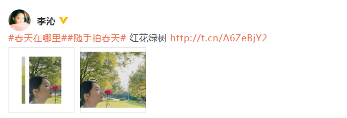 李沁分享春日美照 垂眸浅嗅花香尽显迷人侧颜