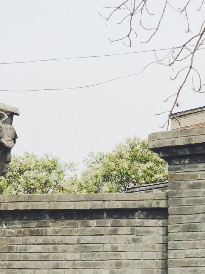 沈月出游踏青享受春天 对镜甜笑灵动可爱