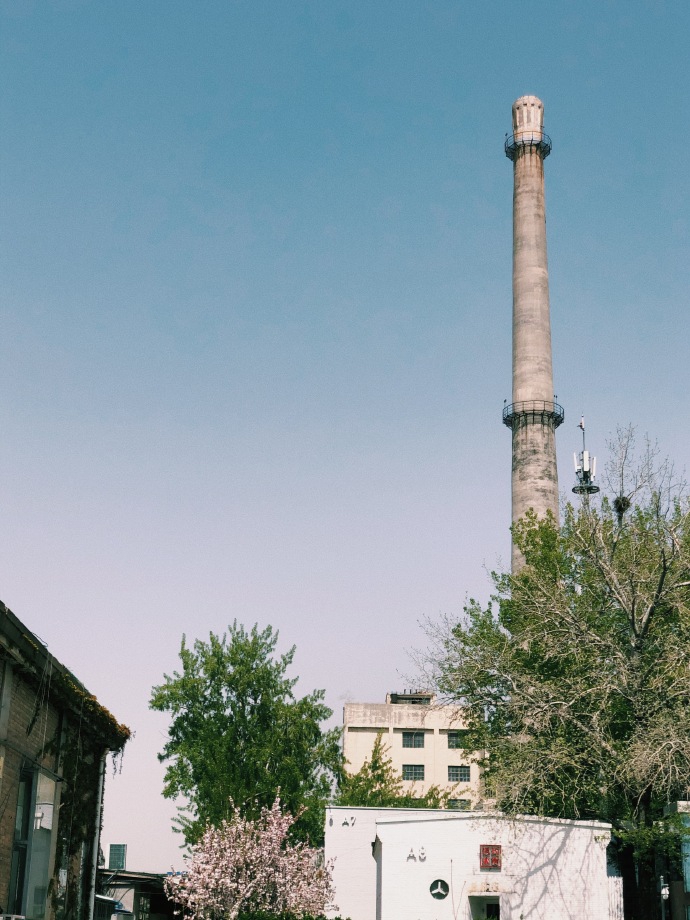 沈月出游踏青享受春天 对镜甜笑灵动可爱