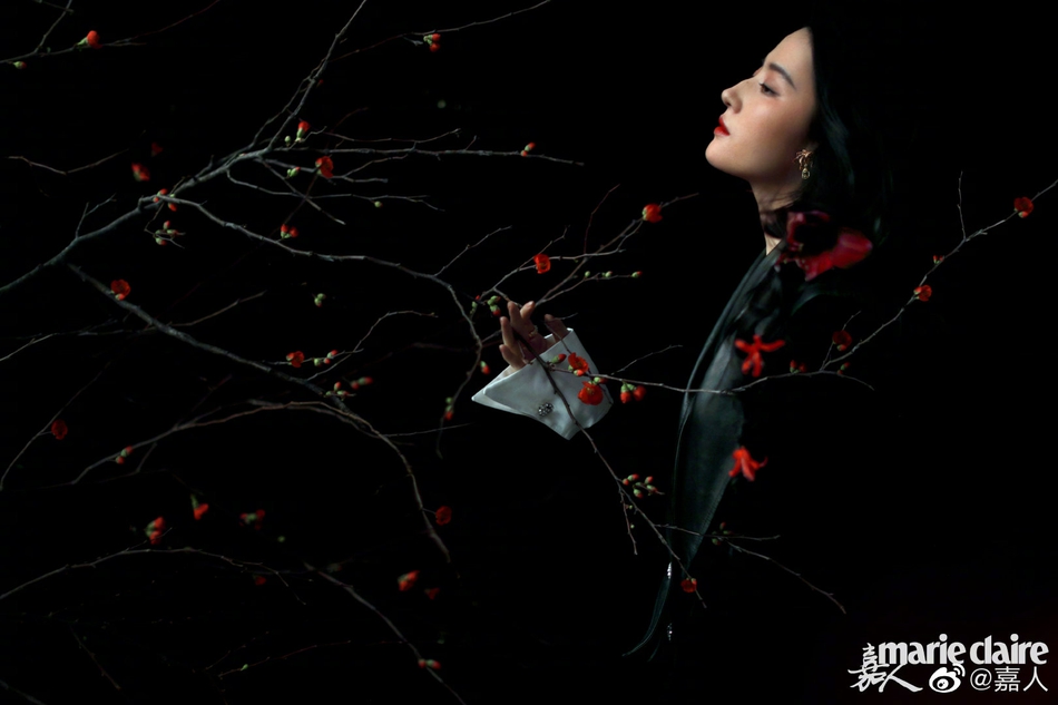 刘亦菲全新繁花写真曝光 精致五官傲人身材上演人比花娇