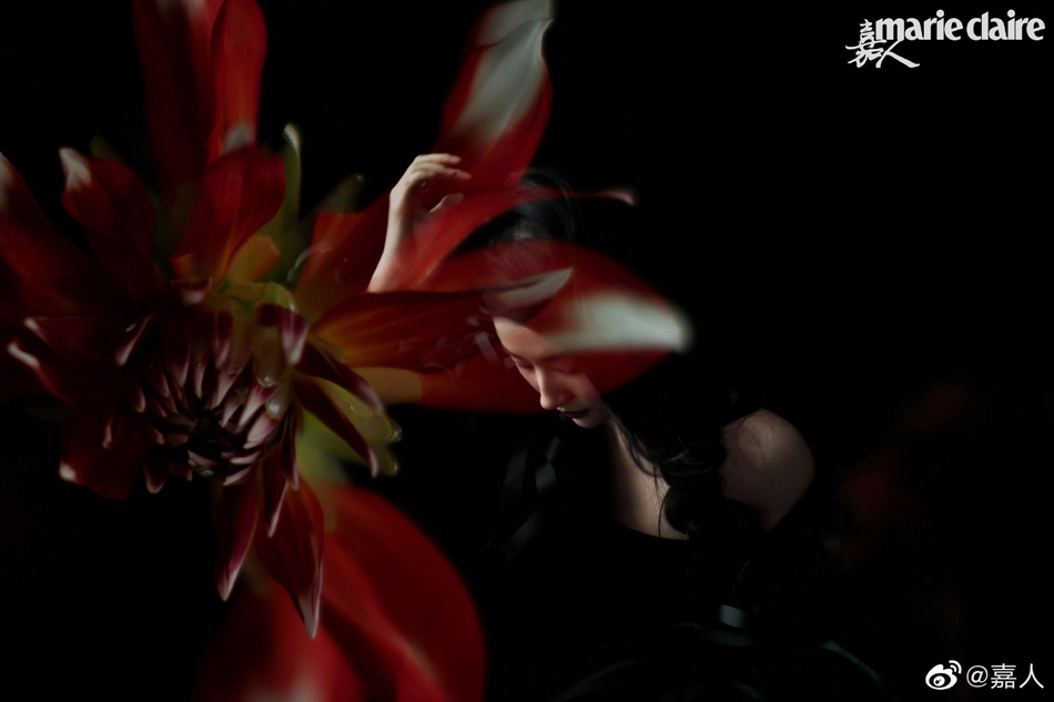 刘亦菲全新繁花写真曝光 精致五官傲人身材上演人比花娇