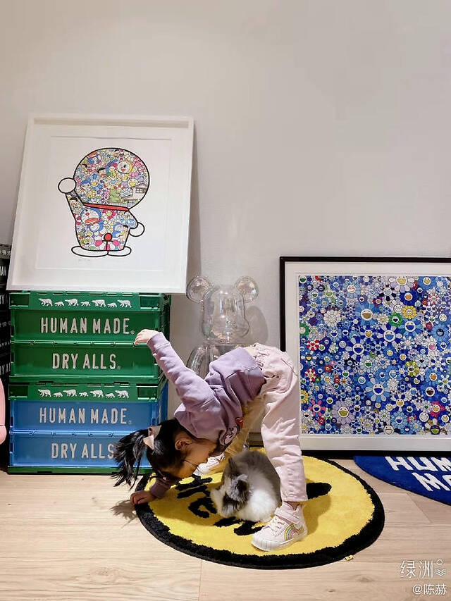 陈赫晒女儿与宠物兔合照 安安趴地模仿兔子萌态十足