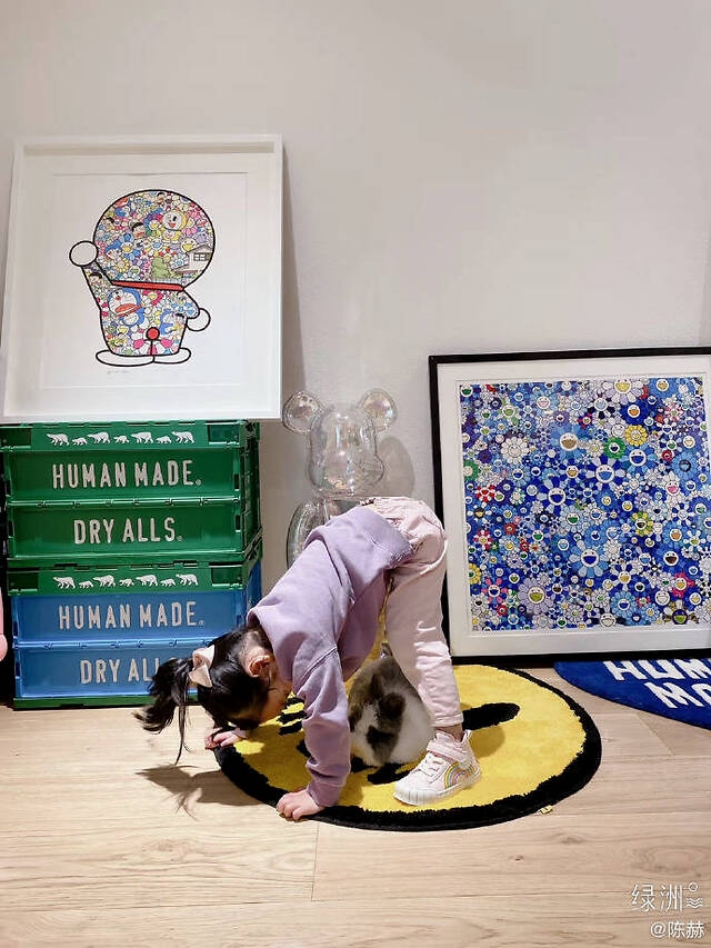 陈赫晒女儿与宠物兔合照 安安趴地模仿兔子萌态十足