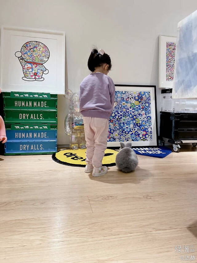 陈赫晒女儿与宠物兔合照 安安趴地模仿兔子萌态十足