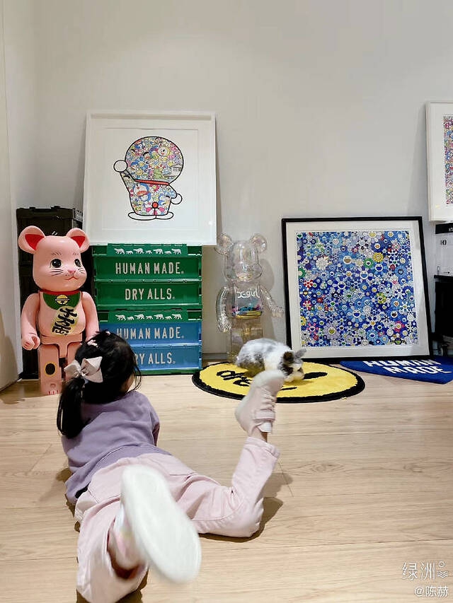 陈赫晒女儿与宠物兔合照 安安趴地模仿兔子萌态十足