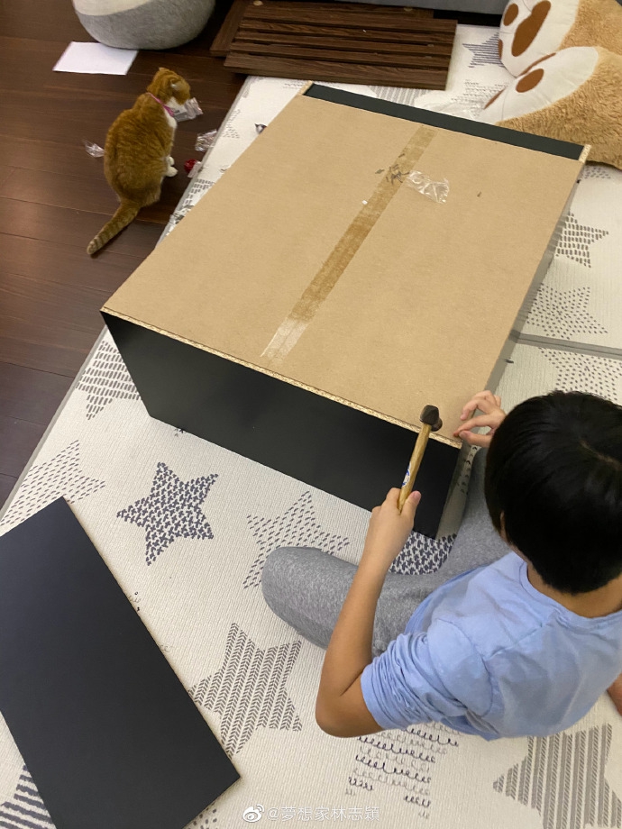 林志颖和儿子一起组装鞋柜 三个小帮手动手能力惊人