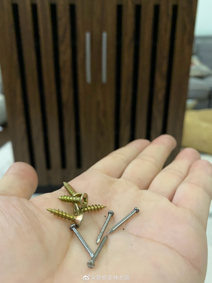 林志颖和儿子一起组装鞋柜 三个小帮手动手能力惊人