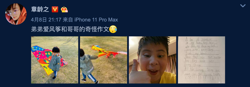 章龄之分享带娃日常 放风筝写作文脑洞清奇